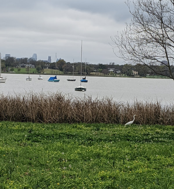 White Rock Lake Trail – Dallas Running Trails